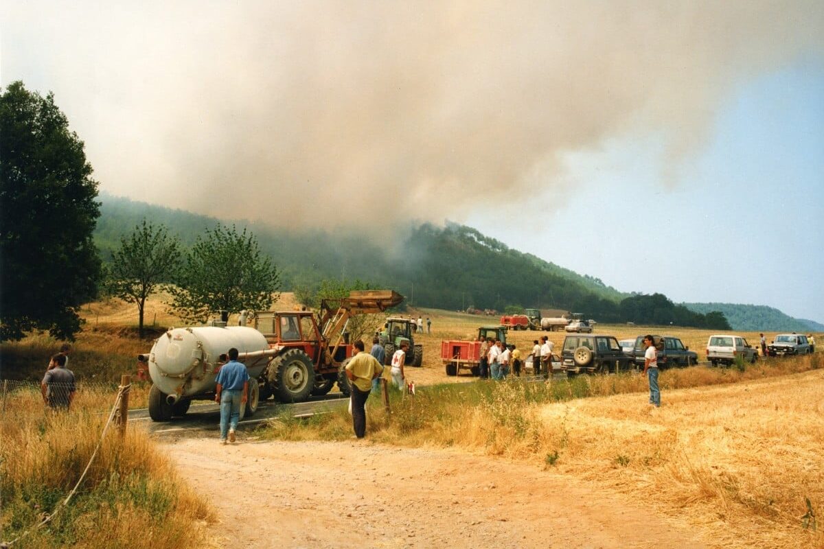 Nova sentència favorable: incendis del 1994