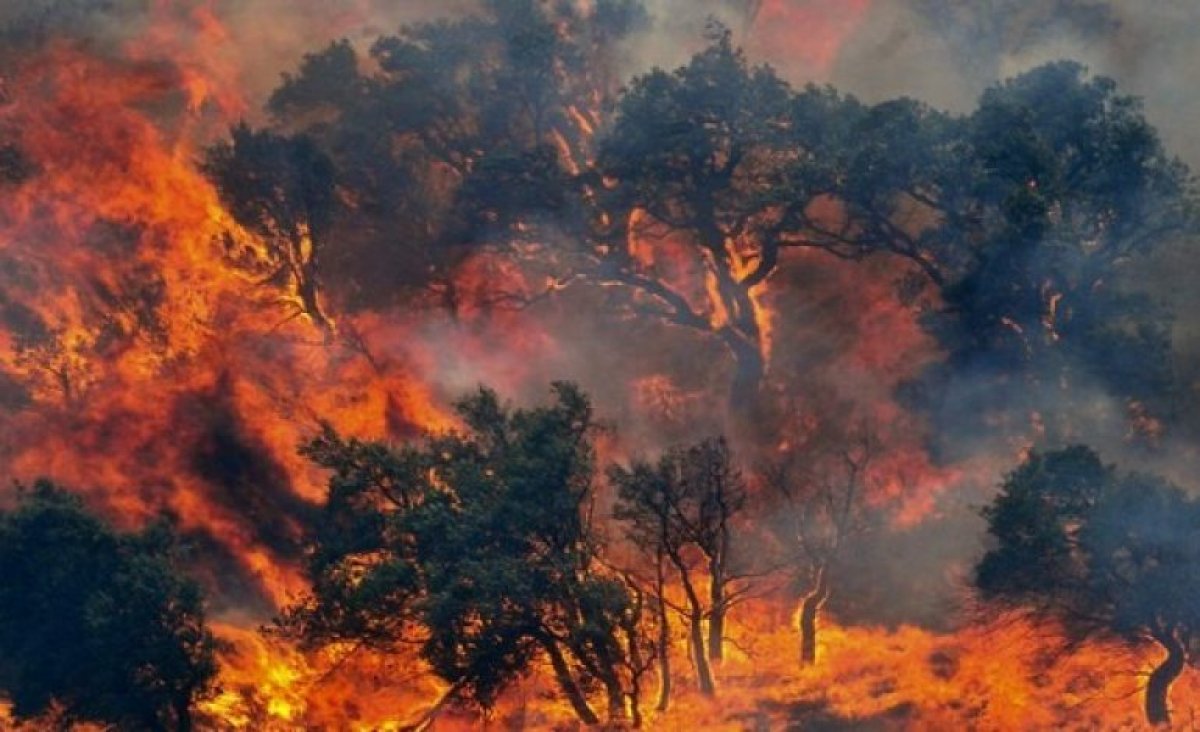 Incendis del 1994 al Berguedà